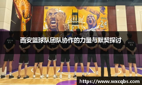 西安篮球队团队协作的力量与默契探讨