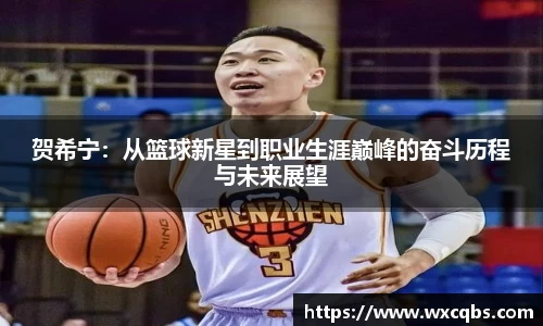 贺希宁：从篮球新星到职业生涯巅峰的奋斗历程与未来展望